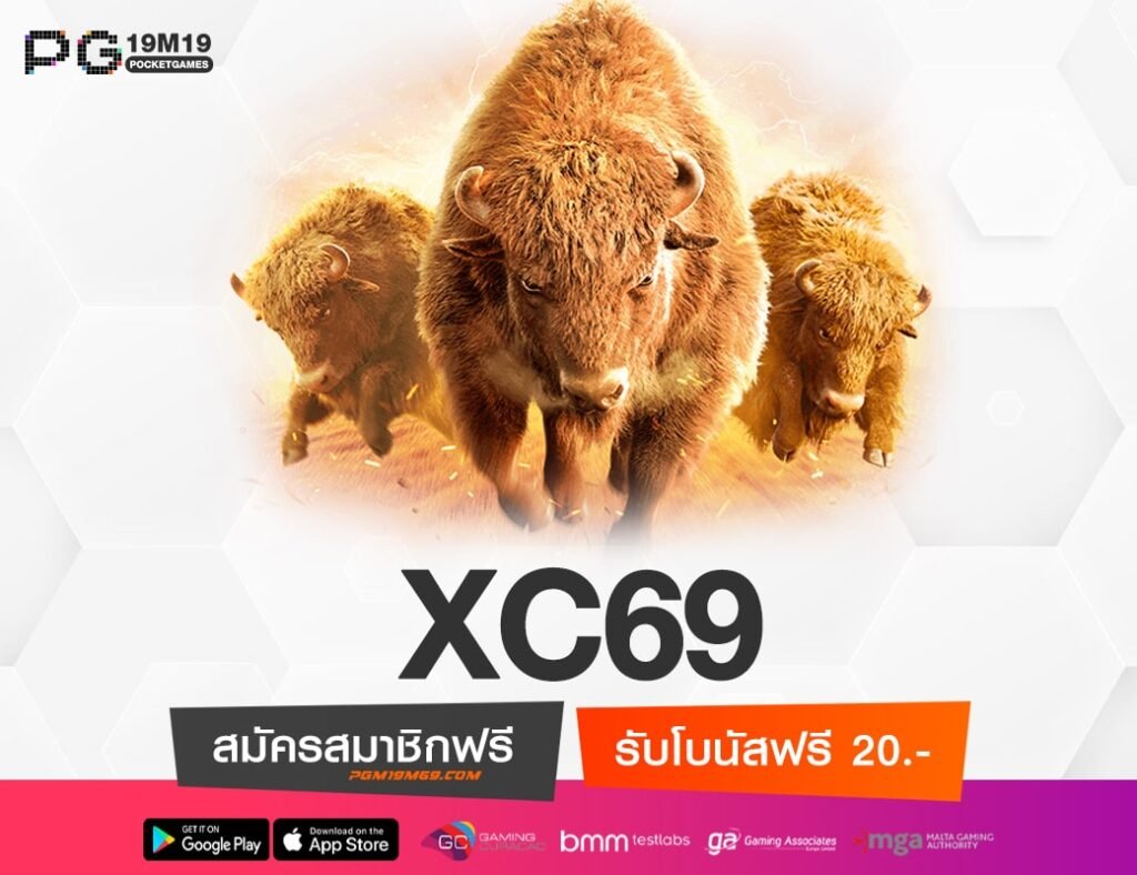 XC69-min